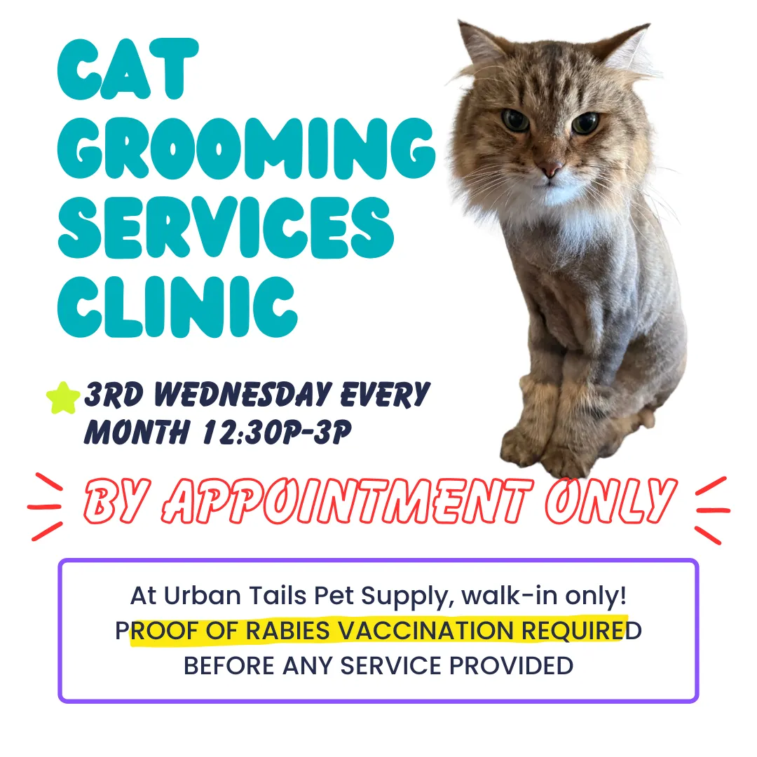 Image of Local Pet Event *NEW* Cat Grooming Services Clinic - 3rd Wednesday Nearby