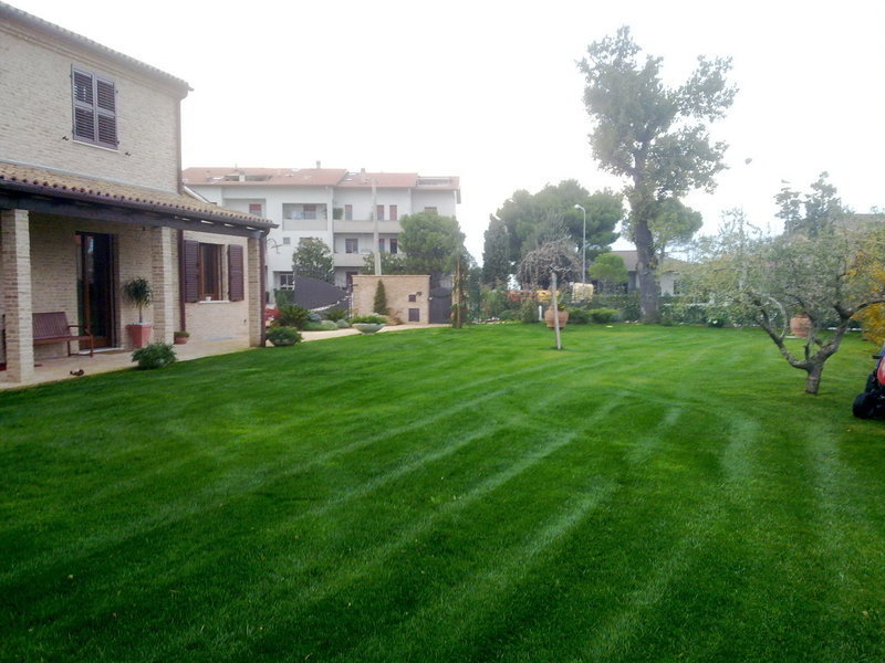 Images Full Garden