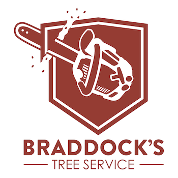 Braddocks Tree Service