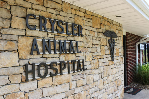 Images Crysler Animal Hospital