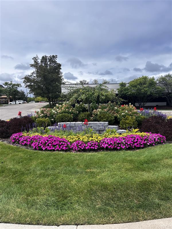 Images LifeStance Therapists & Psychiatrists Ann Arbor