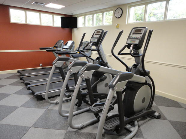 Images Holiday Inn Resort Orlando Lake Buena Vista by IHG