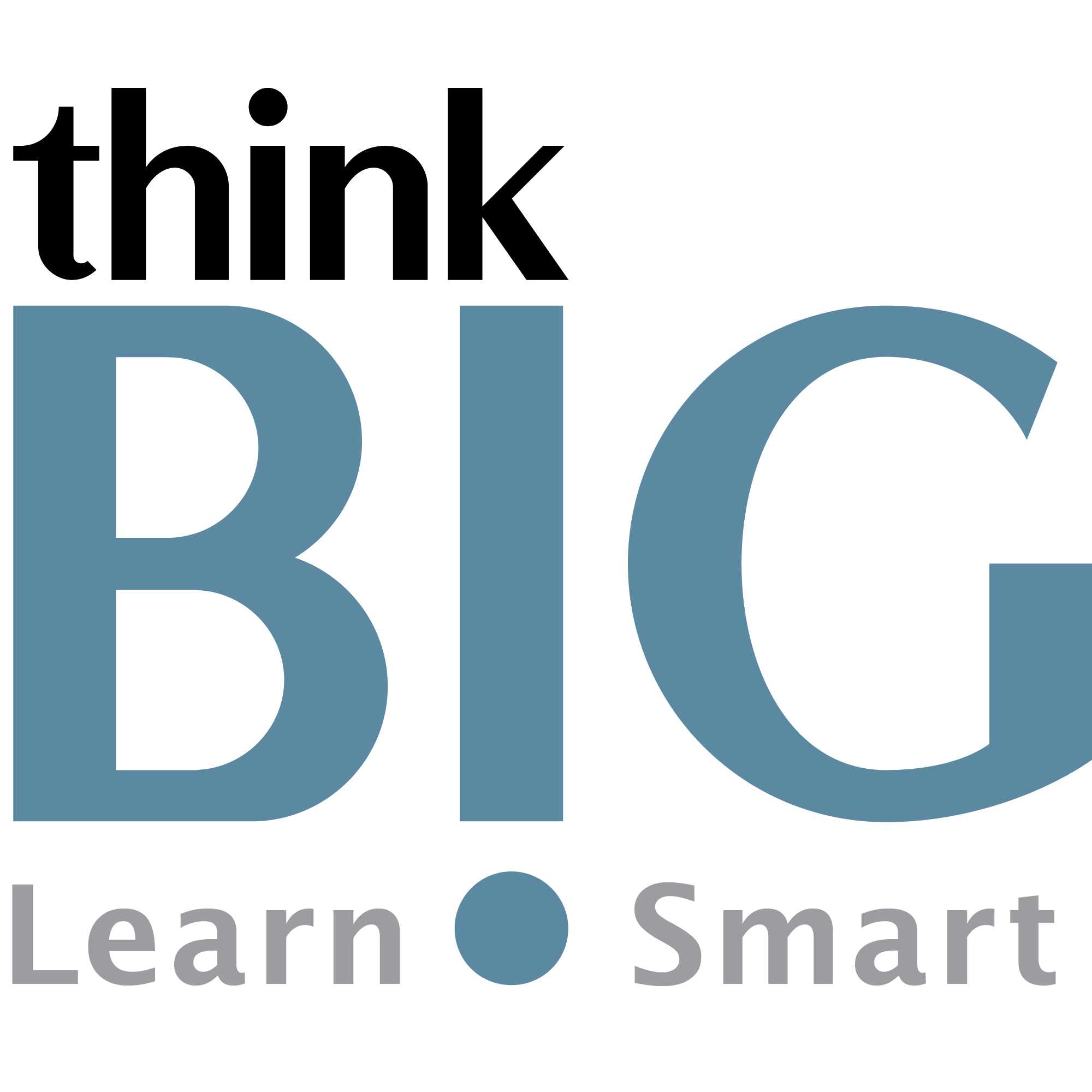 Think BIG. Learn Smart Logo