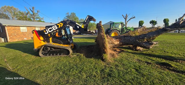 Images Rikin Tree Services
