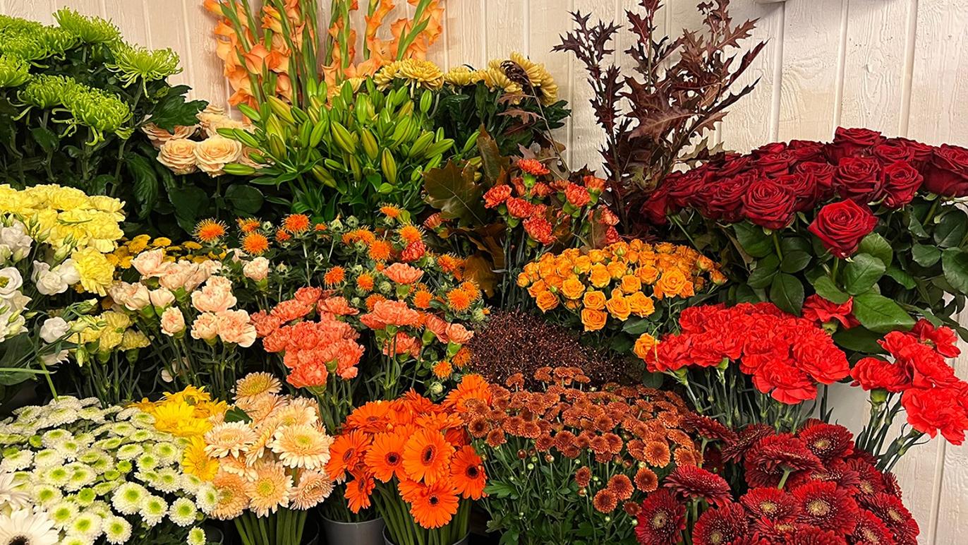 Images Fyrkat Blomster