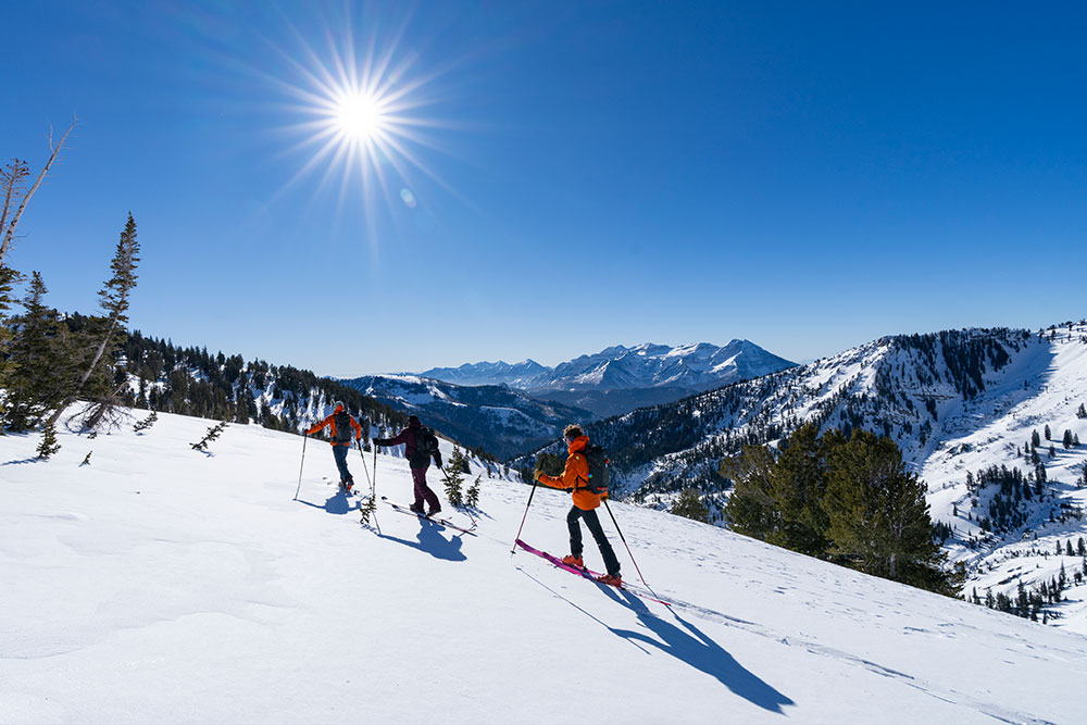 Snowbird Mountain Guides