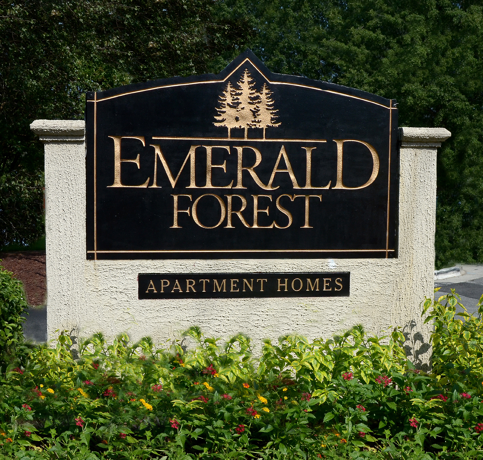 Emerald Forest Apartment Homes