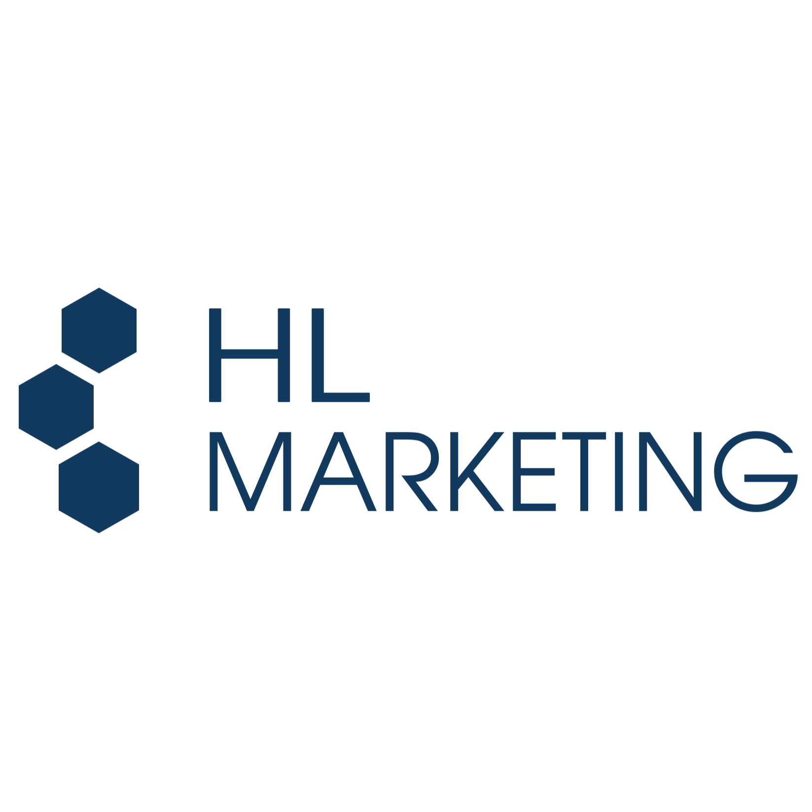 HL Marketing in Koblenz am Rhein - Logo