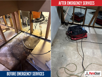 Images PuroClean of Western Milwaukee