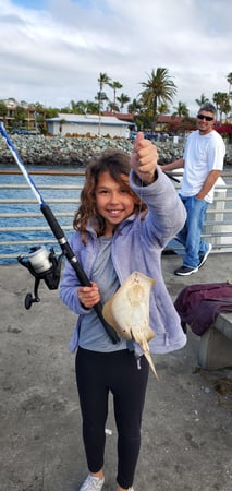 Images SoCal Eco Tours