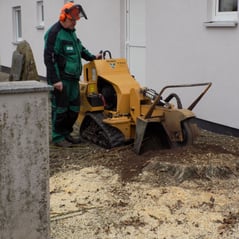 Gartenservice Stolz, Steinbreite 19 in Katlenburg-Lindau