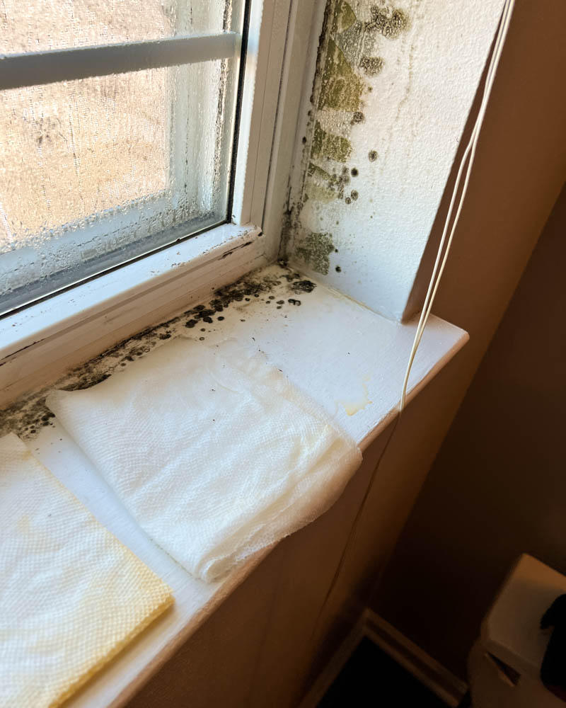 Mold restoration of your most valuable possession, your home! Mold can grow in every room in a house, and water damage is the most common cause. We are here to help you get back to normal.
