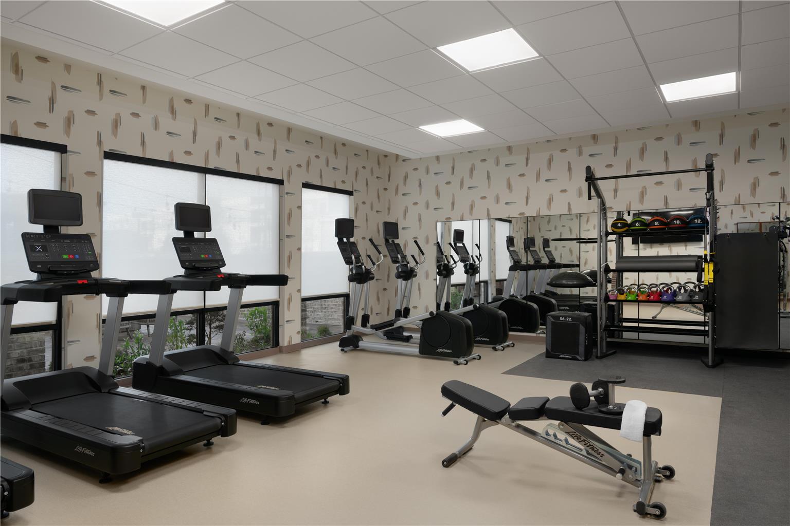 Health club  fitness center  gym