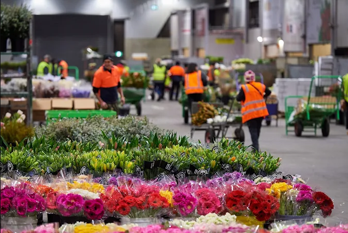 Images DeliverFresh - Fresh Produce, Dairy, Fruits, Vegetables & Alcoholic Beverages Wholesaler