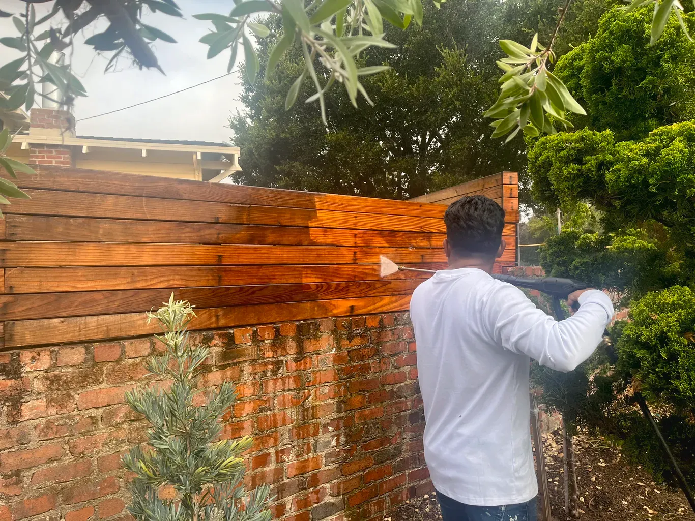 mg simms painting and decorating Image