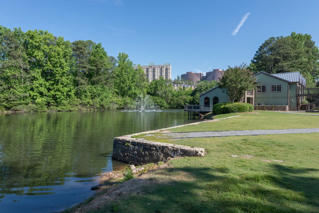 Amazing Lake View