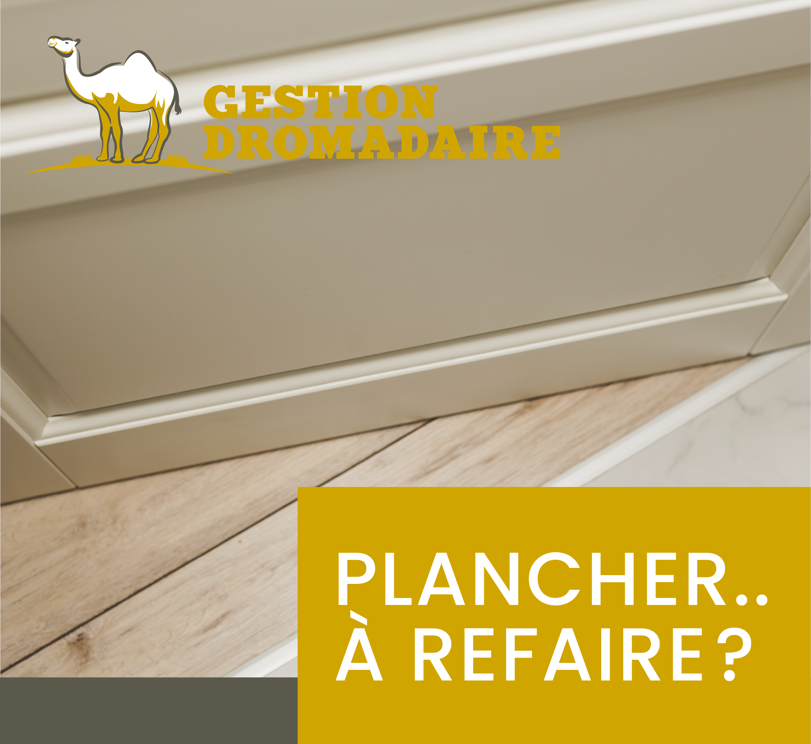 Images Gestion Dromadaire Inc