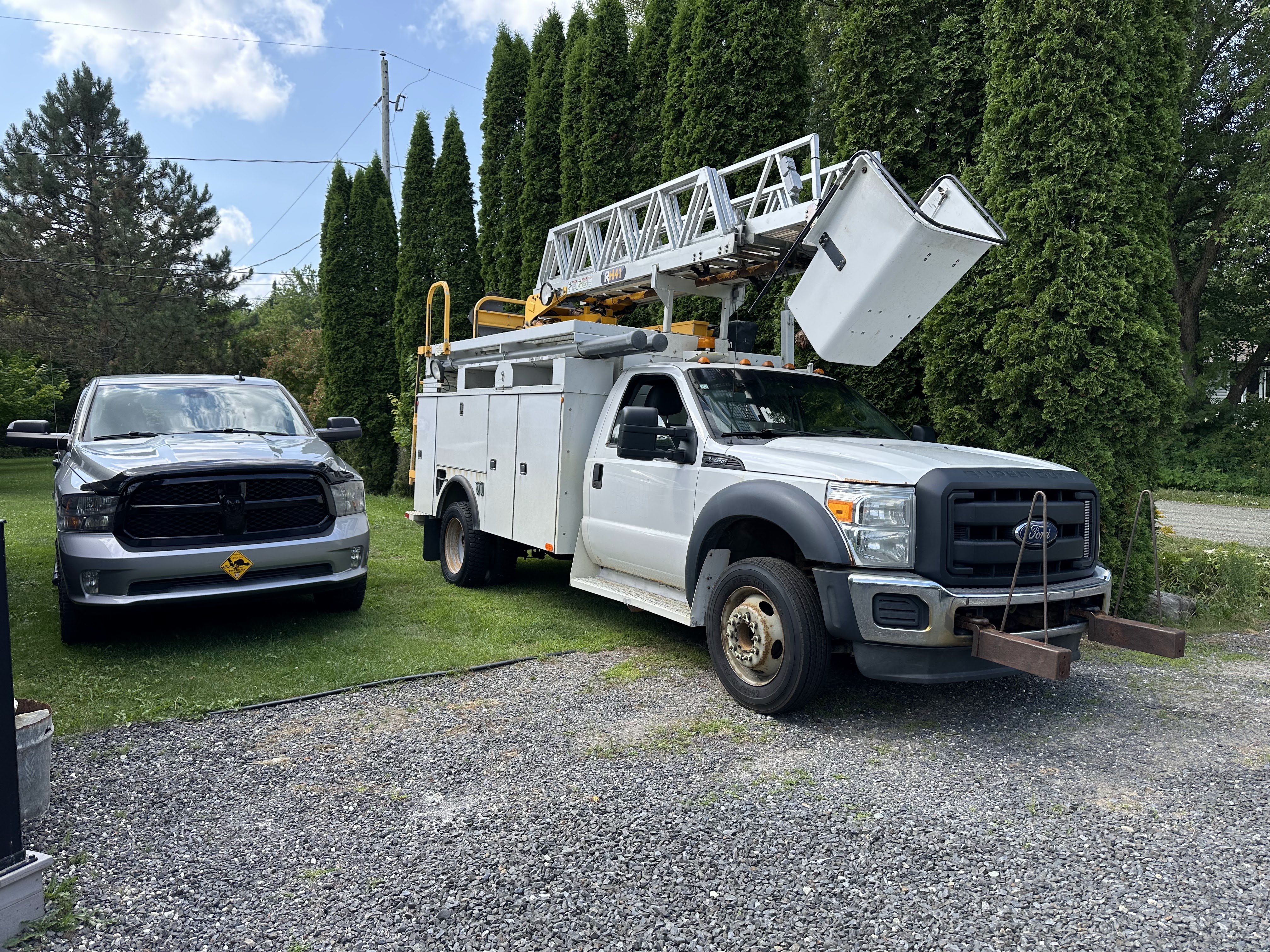 Images Altitude Abattage - Services d'arbres, Élagage, Émondage