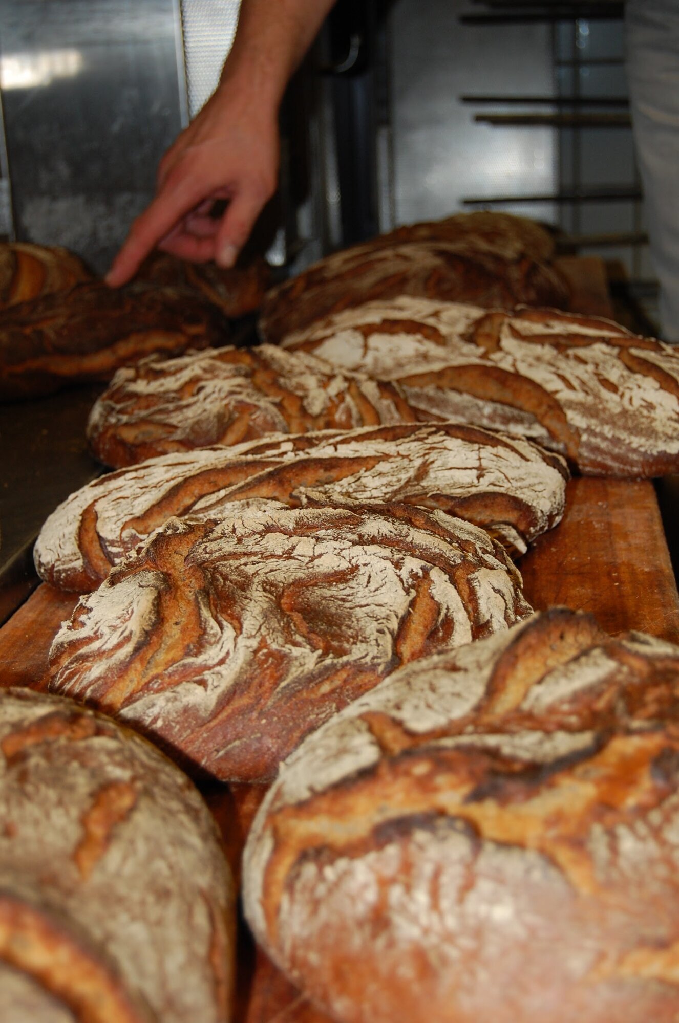 Bilder Brotbackkurse Walzel