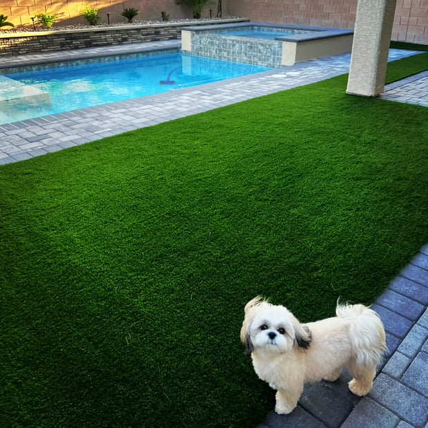 Images Purchase Green Artificial Grass
