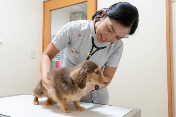 Images ペテモ動物病院 キテラプラザ青葉台