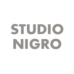 Associazione Professionale Studio Nigro Logo
