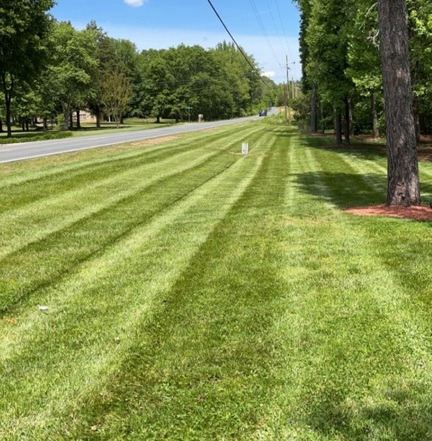 Images Southern Style Turf & Design