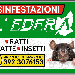 L'Edera Servizi Logo