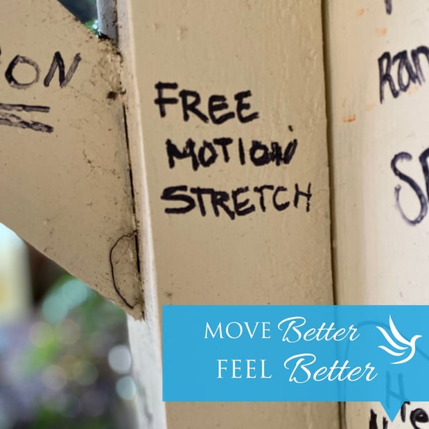 Images Free Motion Stretch