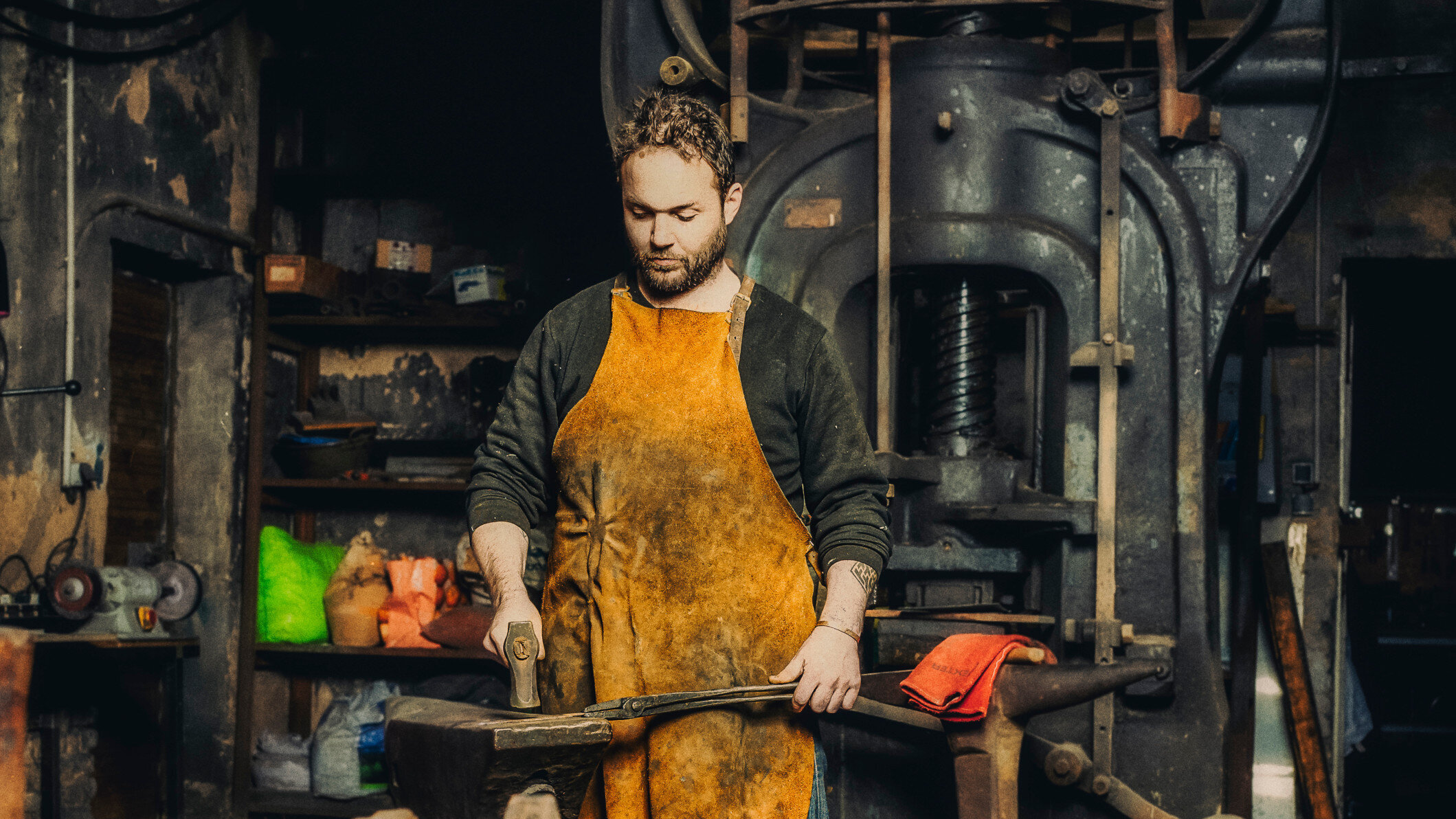 Images la forge de l'arbre flamboyant