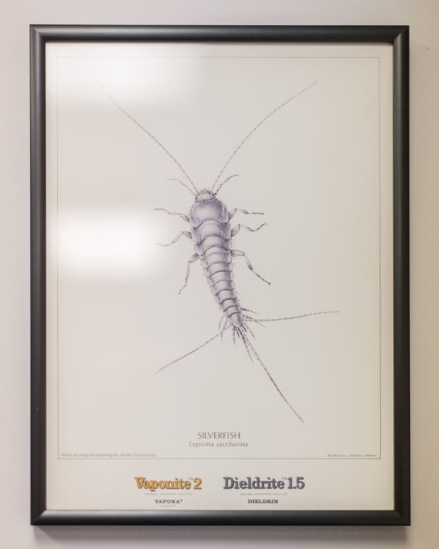 Images Massey Services Pest Control