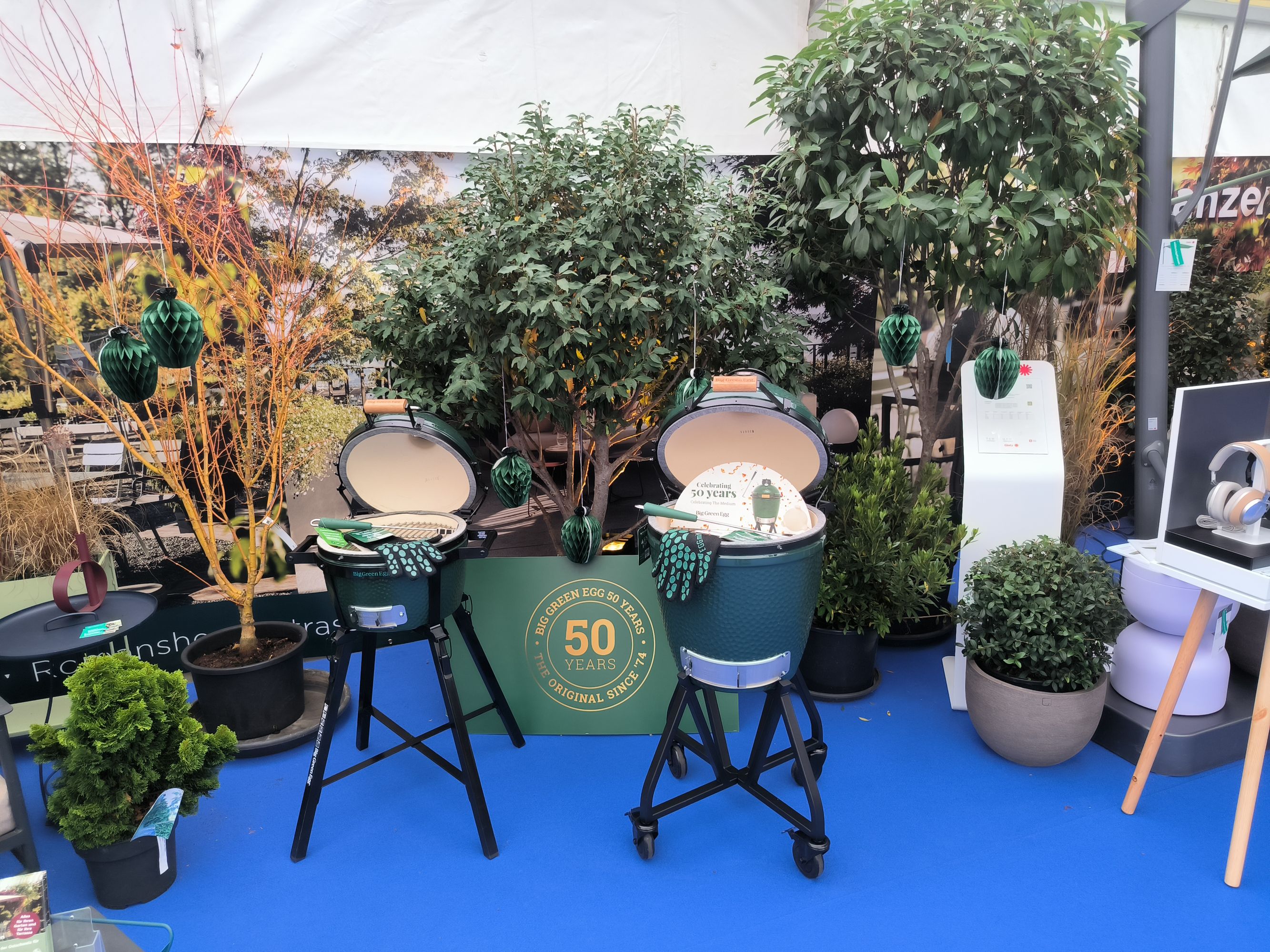 Bilder wüthrich pflanzen ag