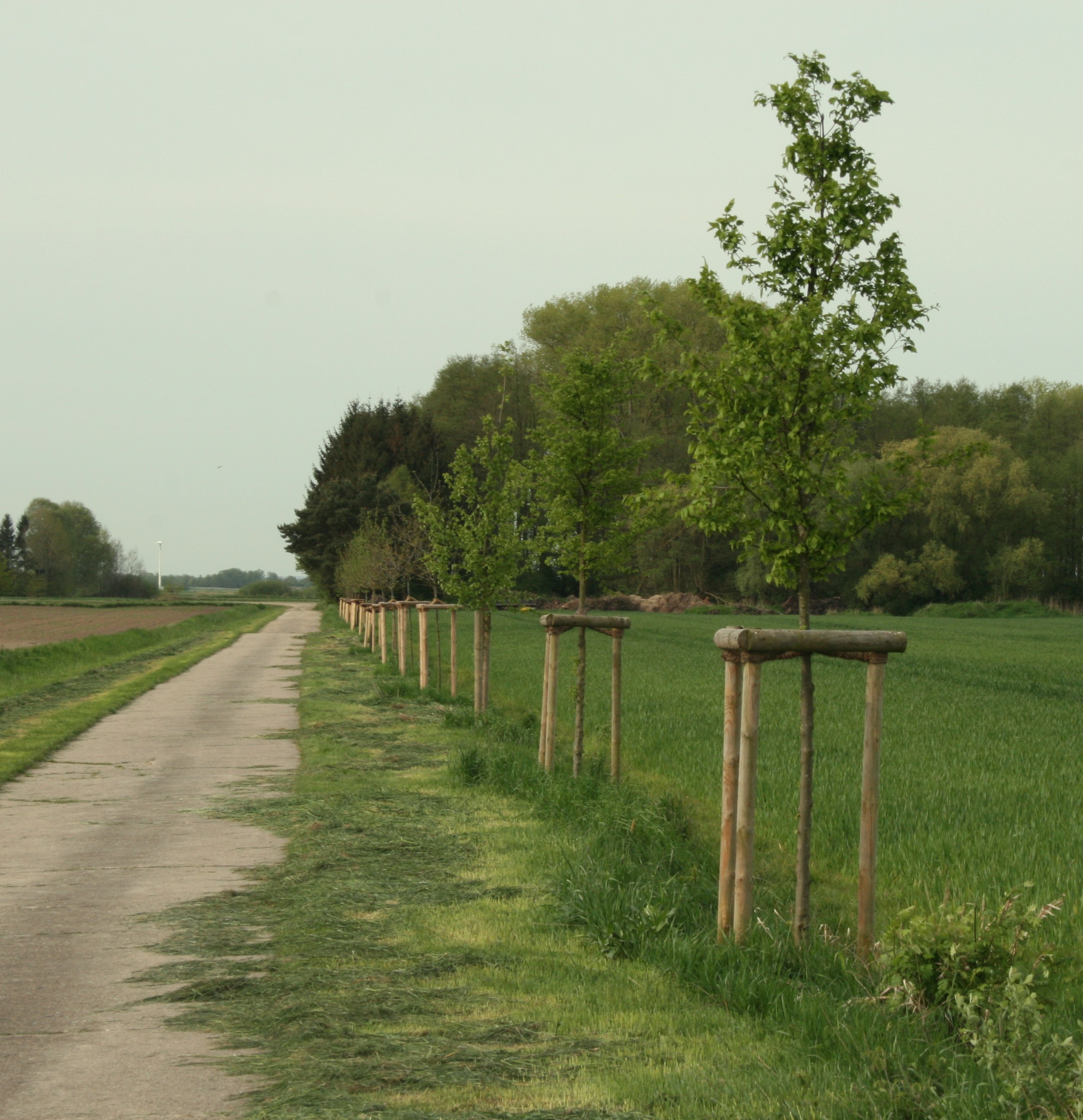 Der Gärtner Garten- u. Landschaftsbau, Boltersener Str. 16 in Rullstorf
