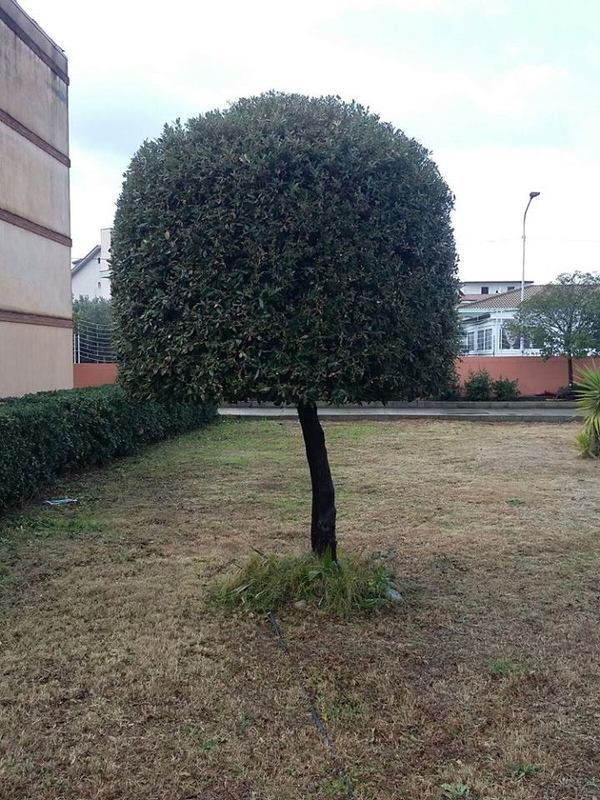 Images Ekosistem Ambiente