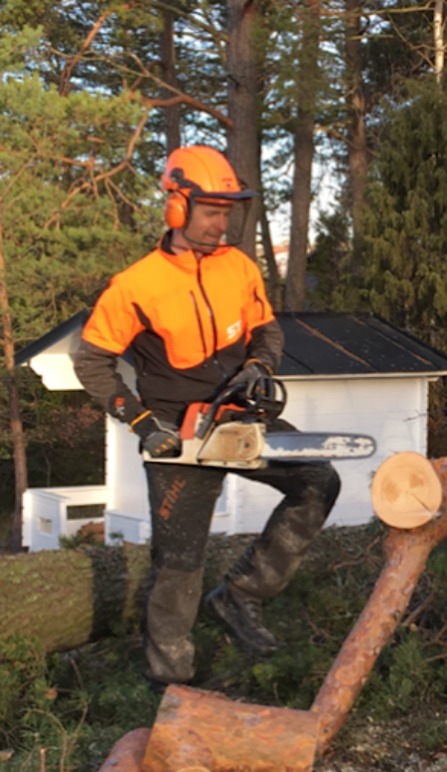 Images Lundbergs Trädfällning o Dykeri