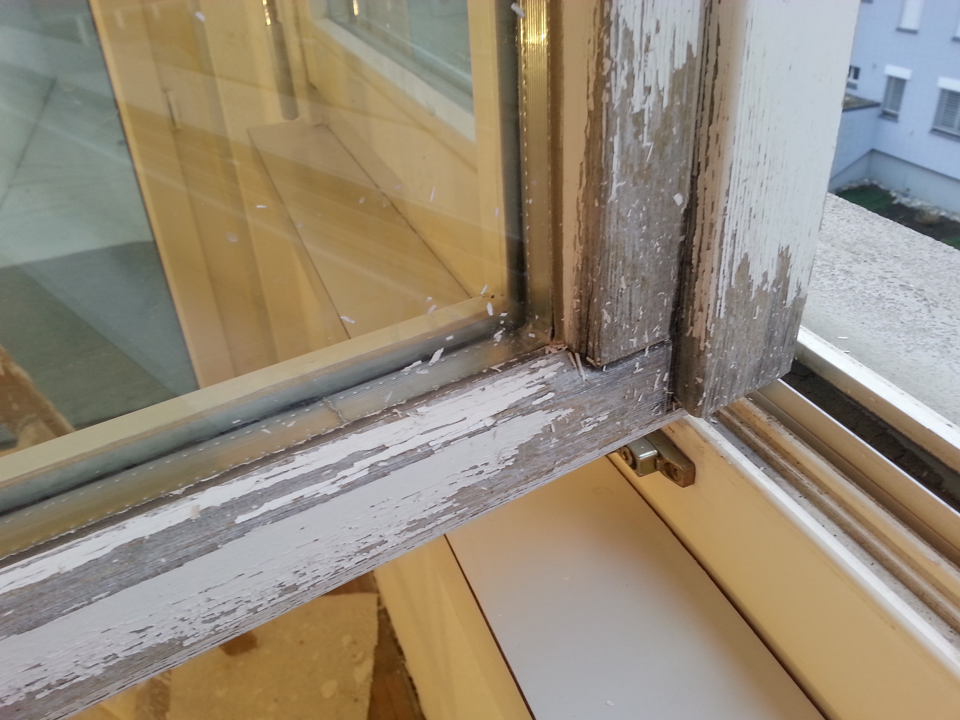 Wirthensohn Malerei GmbH, Seestrasse 13 in Walenstadt