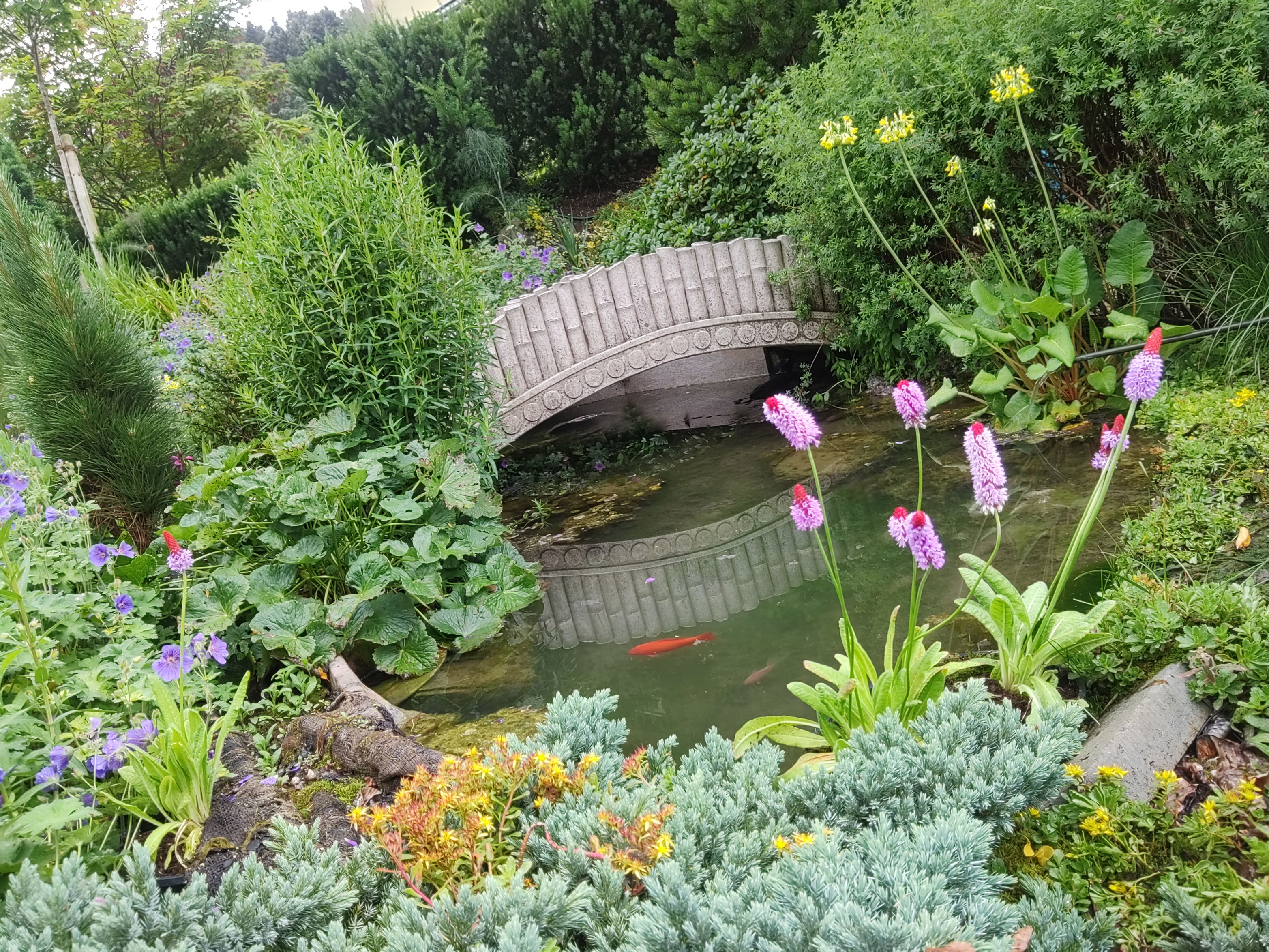 Bilder MM Gartenpflege GmbH