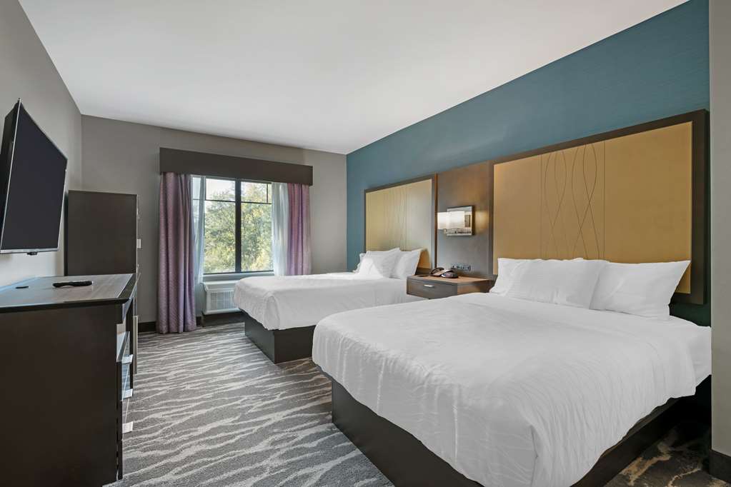 2 Queen Suite