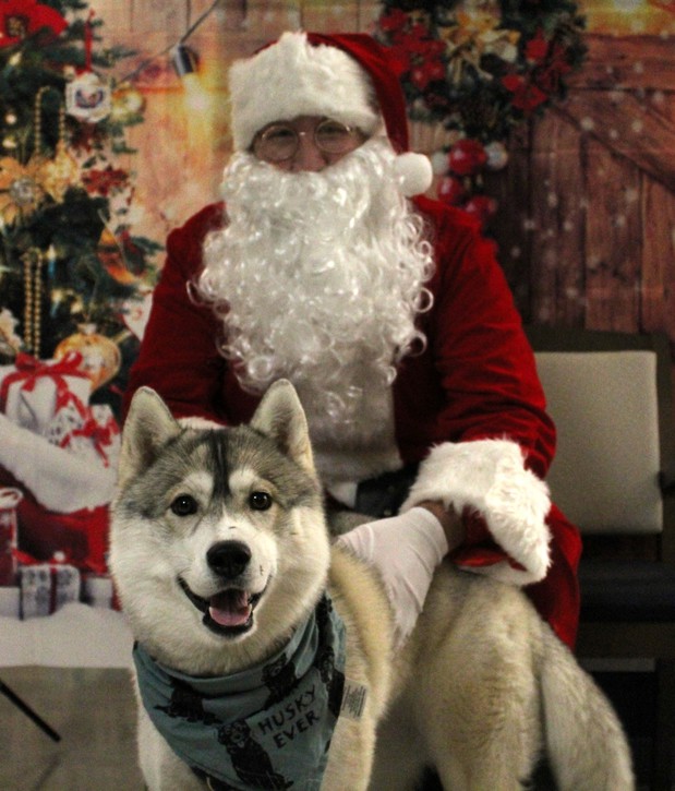 Images VCA Montgomery Road Animal Hospital