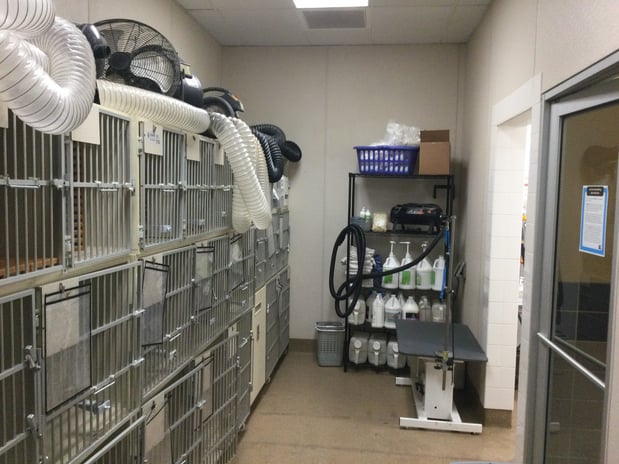 Images Petco