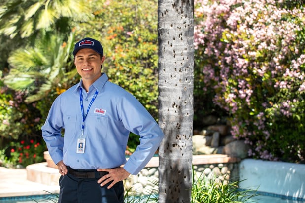 Images Clark Pest Control