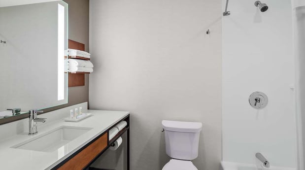 Images Hilton Garden Inn Chicago McCormick Place