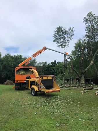 Images Area Tree Service LLC