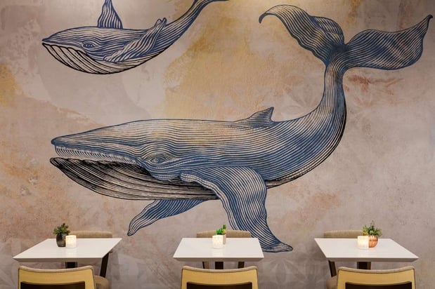 Images Hilton Ocean City Oceanfront Suites