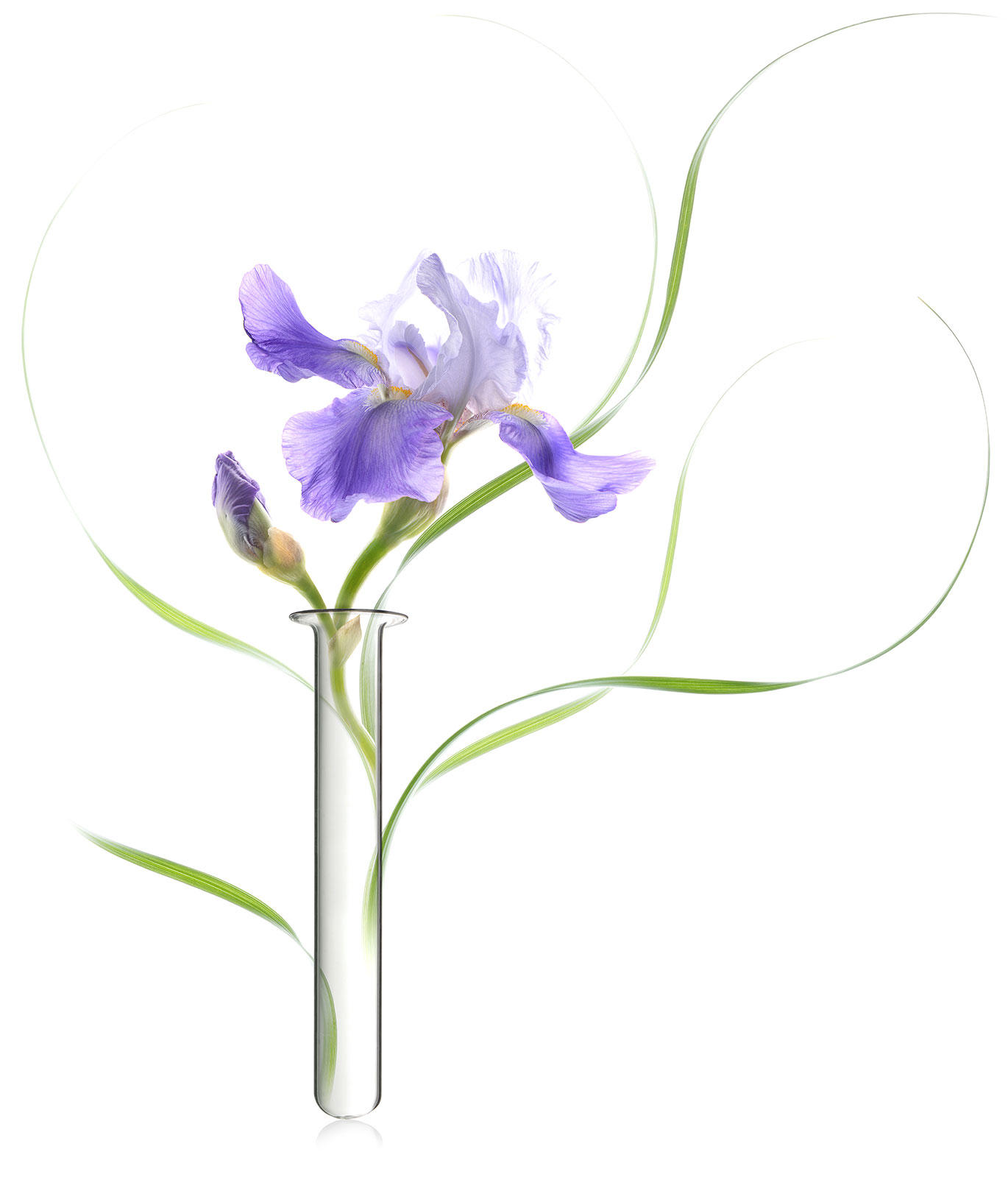 Essencia AG, Stäffelistrasse 8 in Winterthur