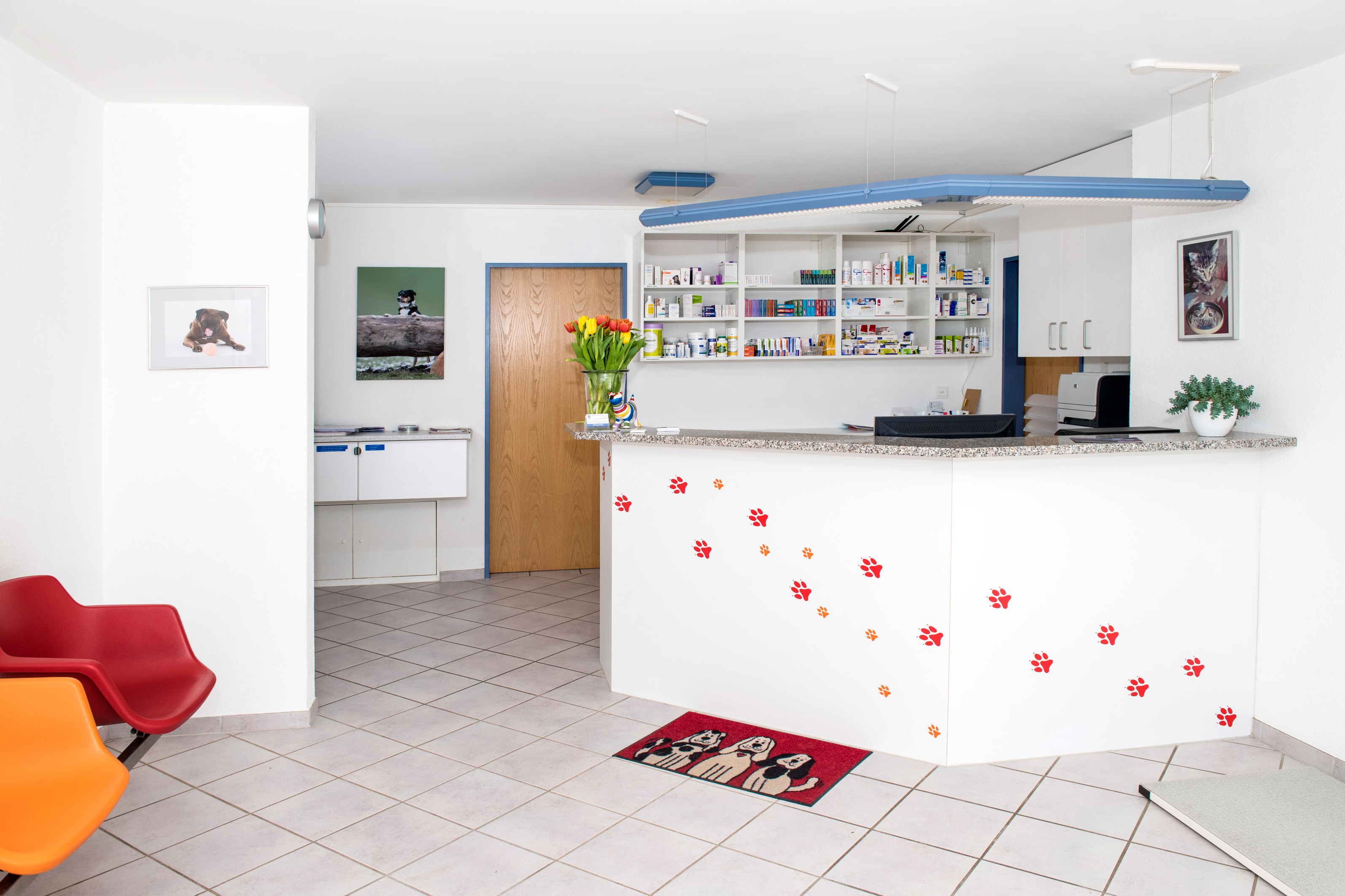 Bilder Kleintierklinik Glattfeld AG