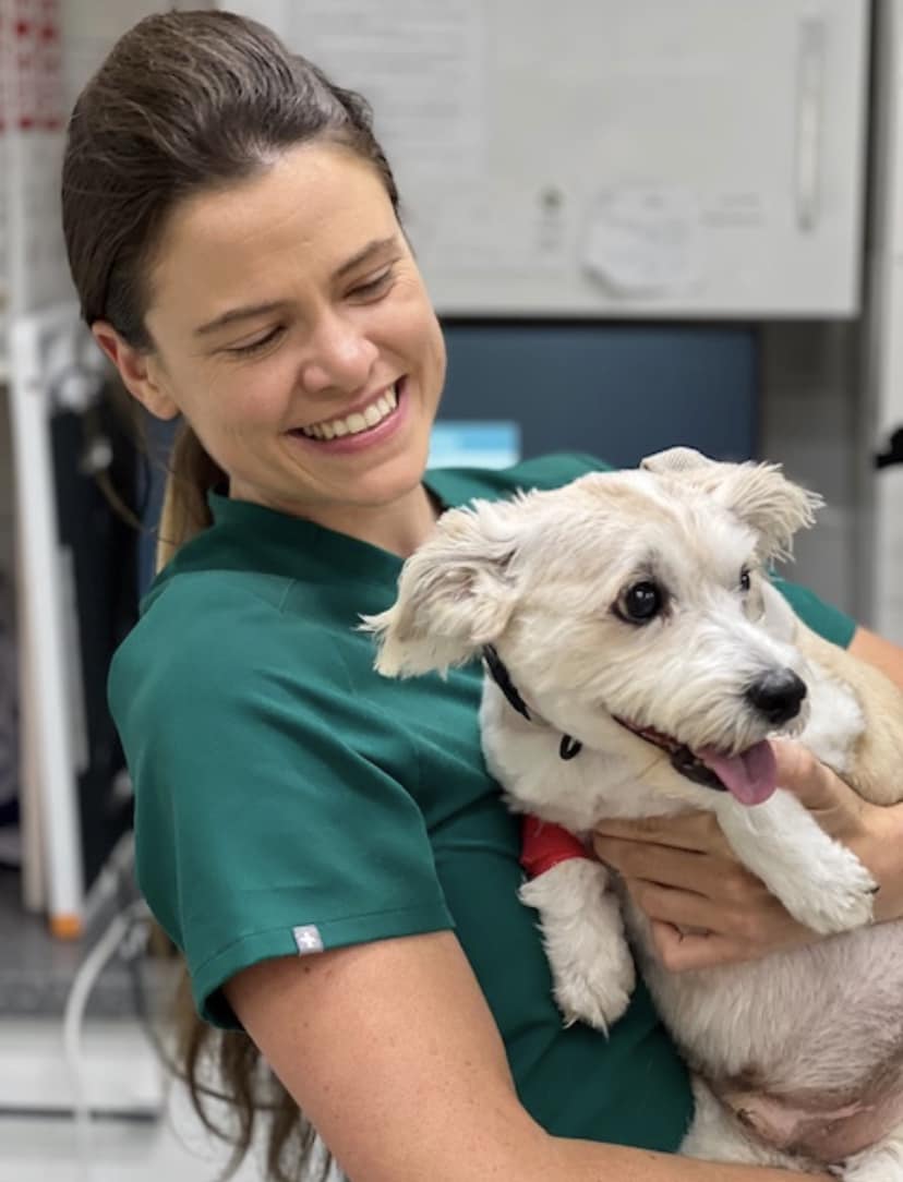 Images Streatham Hill Veterinary Surgery