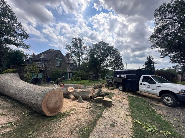 Images KC Tree Services LLC