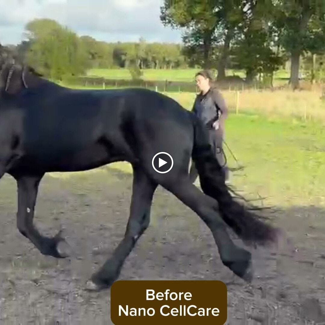 NANO Center CellCare therapie Bioresonanz Daniela Siegmund in Essen