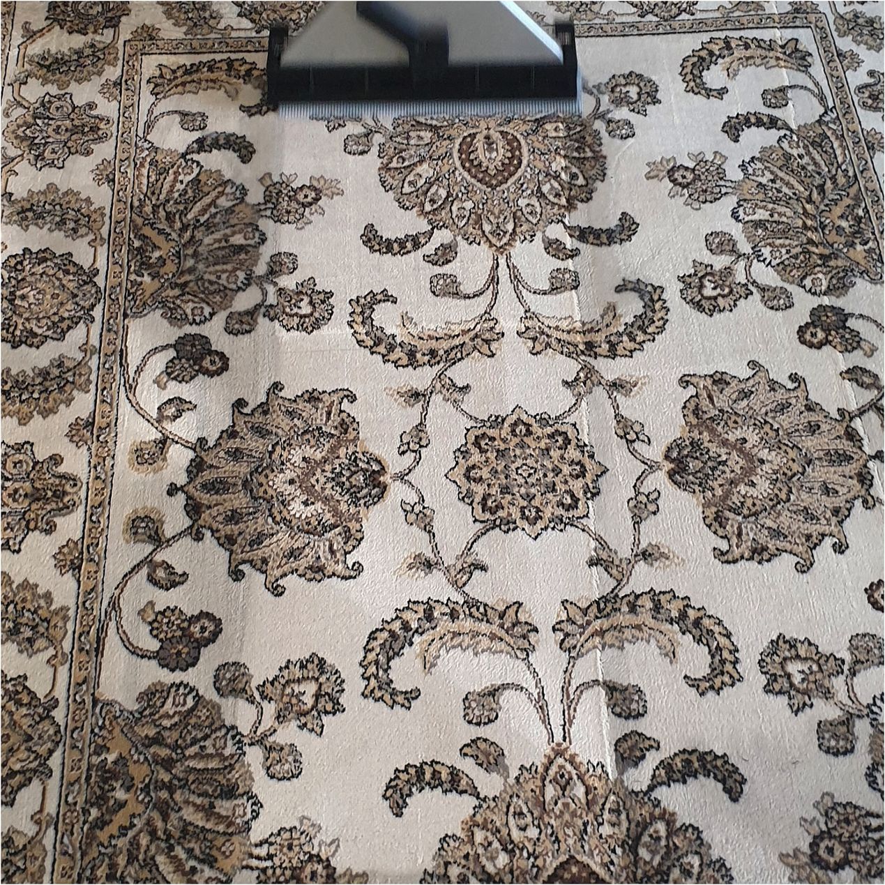 Bilder ARTE'S Impresa di pulizie